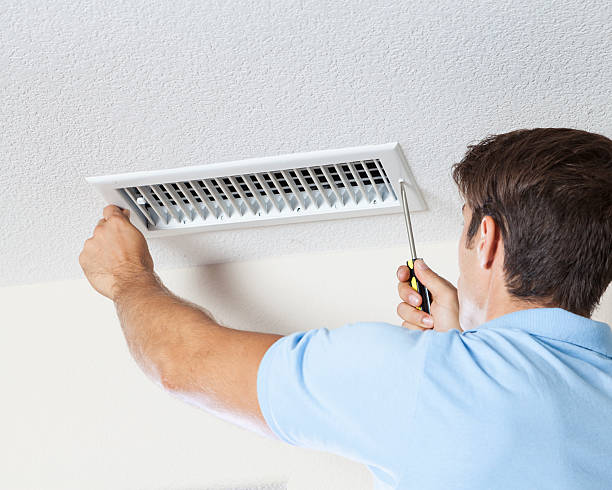 Trusted Clermont, GA Mold Removal Experts