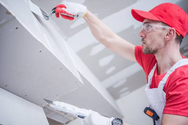 Best Real Estate Mold Inspection  in Clermont, GA